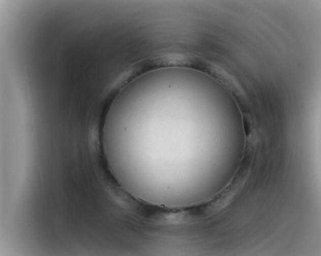 X0000115520306200911131450