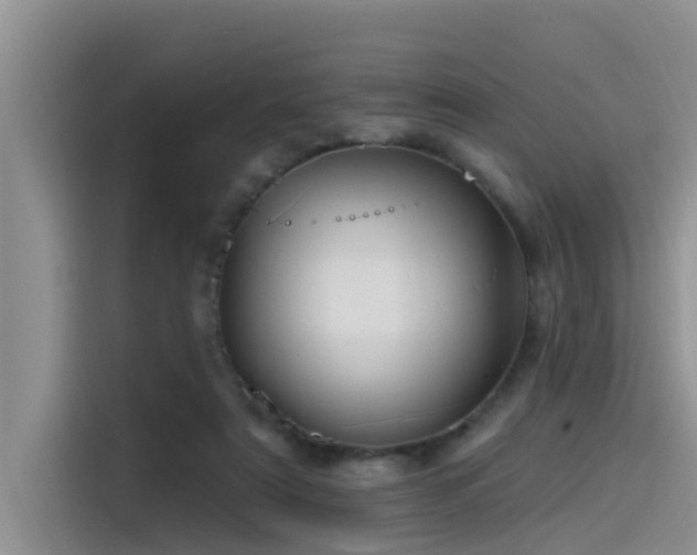 X0000115520307200911131450