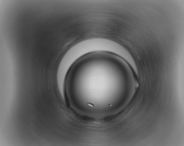 X0000115520308200911131450