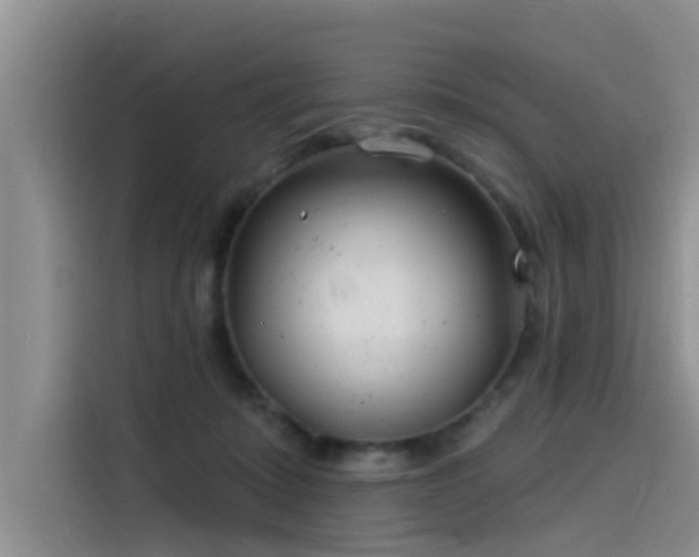 X0000115520319200911131450