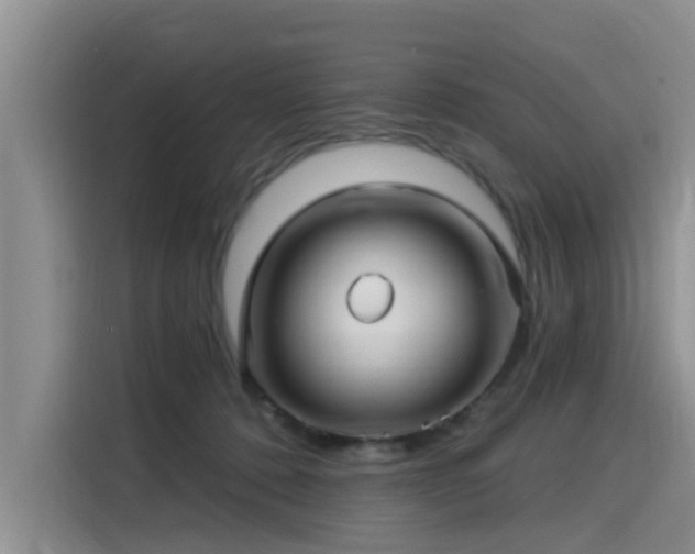 X0000115520320200911131450