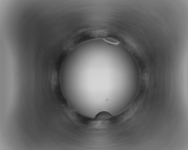 X0000115520323200911131450