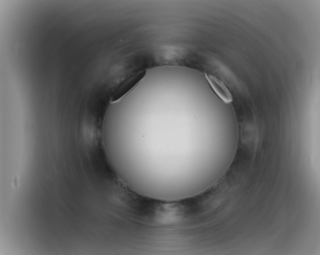 X0000115520324200911131450