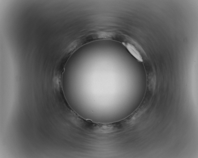 X0000115520329200911131450