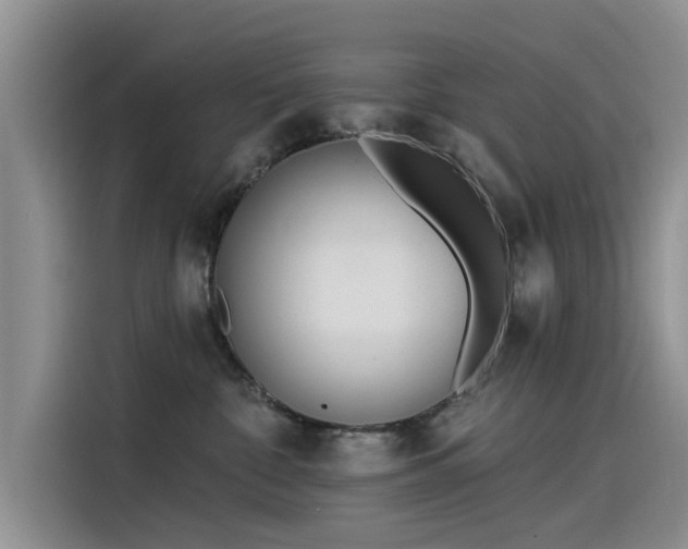 X0000115520332200911131450