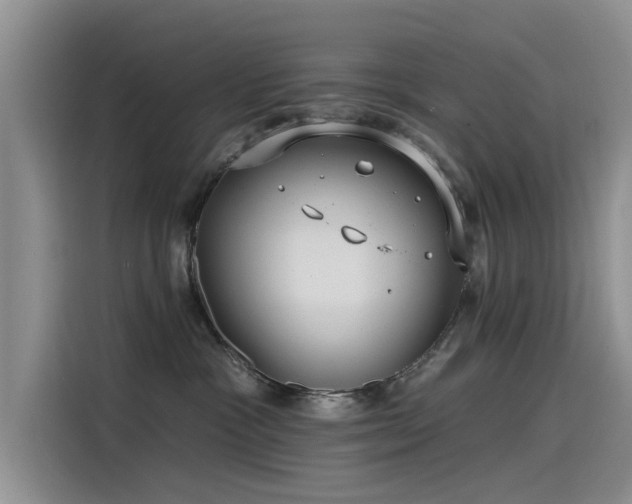 X0000115520333200911131450