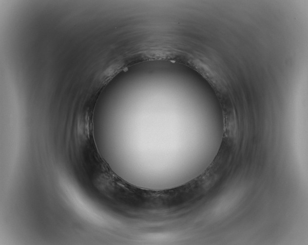 X0000115520334200911131450