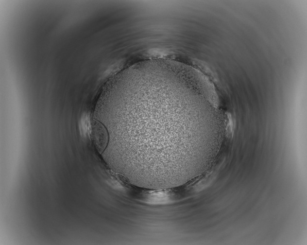 X0000115520335200911131450