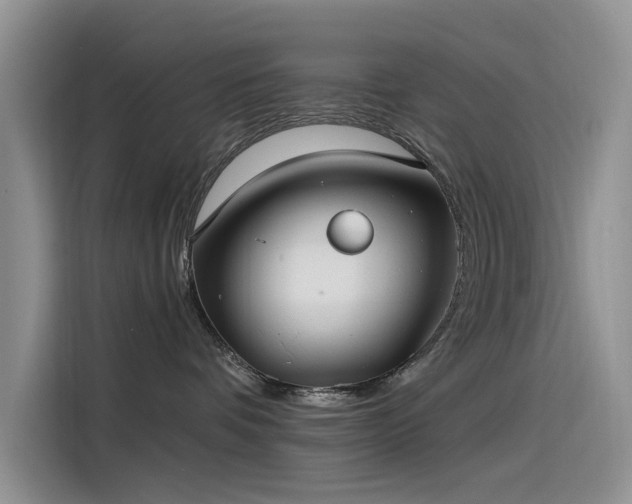 X0000115520336200911131450