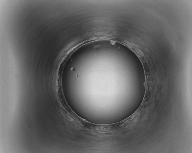 X0000115520338200911131449