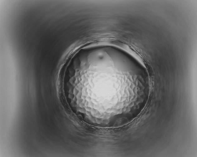 X0000115520339200911131449