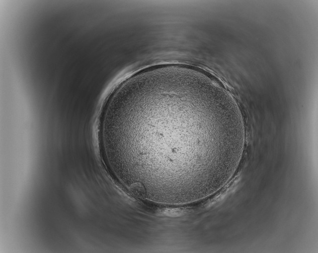 X0000115520341200911131450