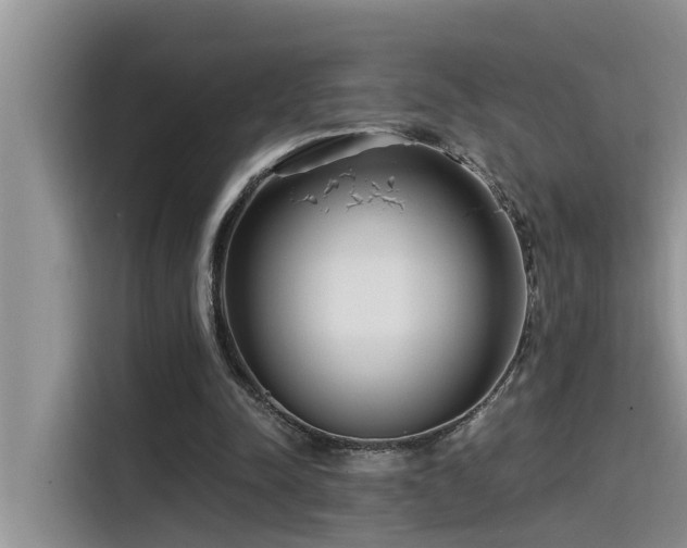 X0000115520342200911131450