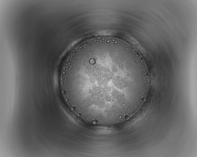 X0000115520347200911131450