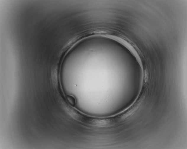 X0000115520349200911131450