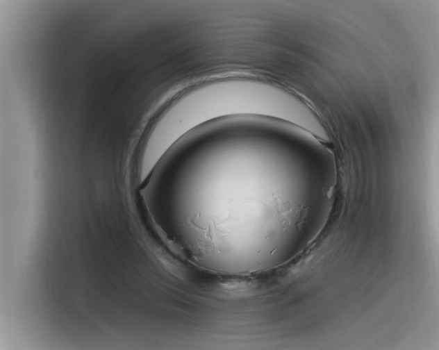 X0000115520350200911131450