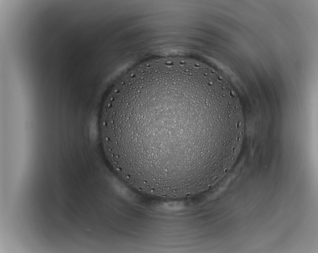 X0000115520353200911131450