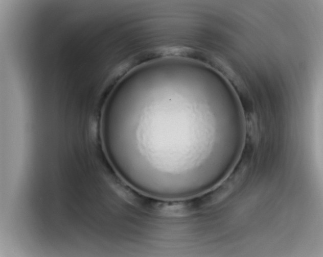 X0000115520357200911131450