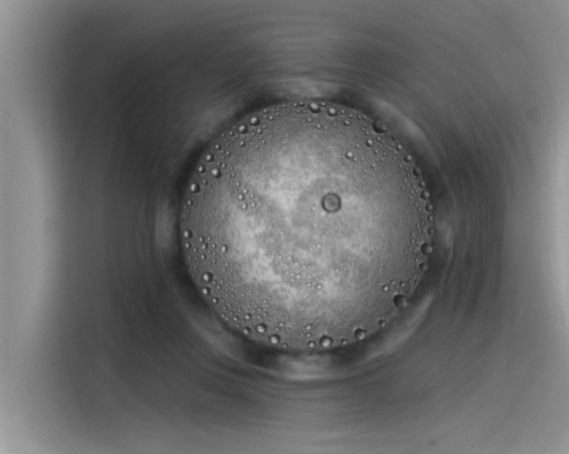 X0000115520359200911131450