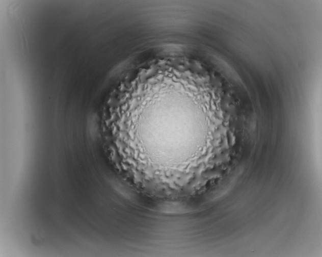 X0000115520361200911131450