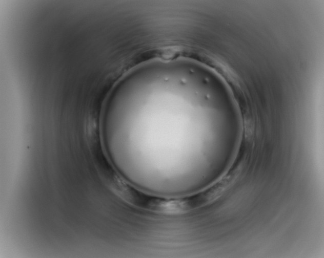 X0000115520365200911131450