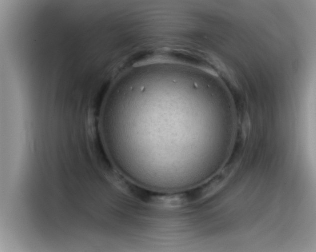 X0000115520366200911131450