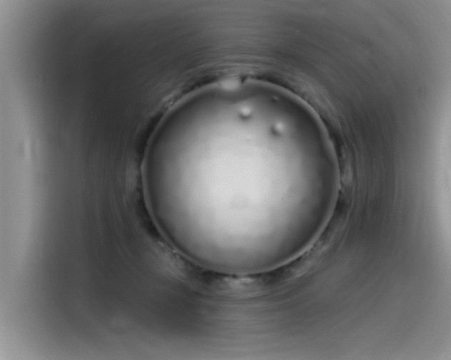 X0000115520367200911131450