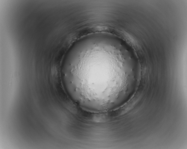 X0000115520373200911131450