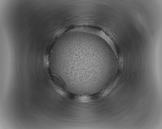 X0000115520383200911131450