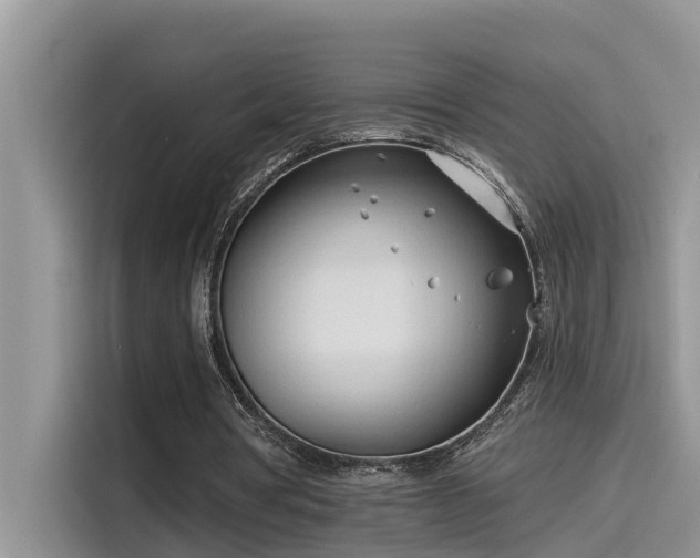 X0000115520386200911131449