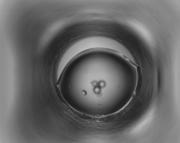 X0000115520387200911131449