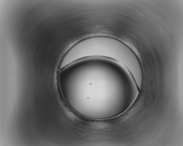 X0000115520389200911131449