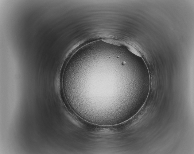 X0000115520390200911131449