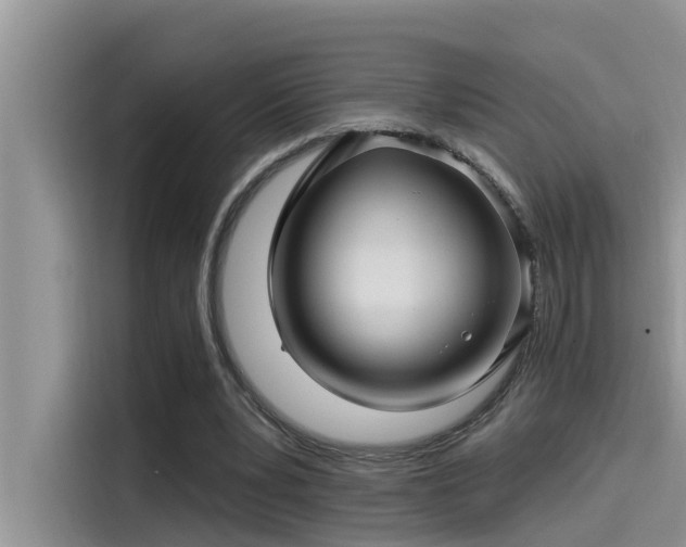 X0000115520391200911131449