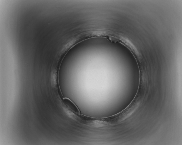 X0000115520393200911131449