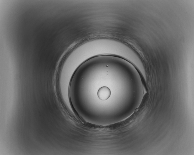 X0000115520395200911131449