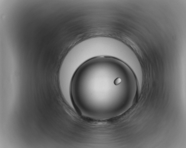 X0000115520401200911131449