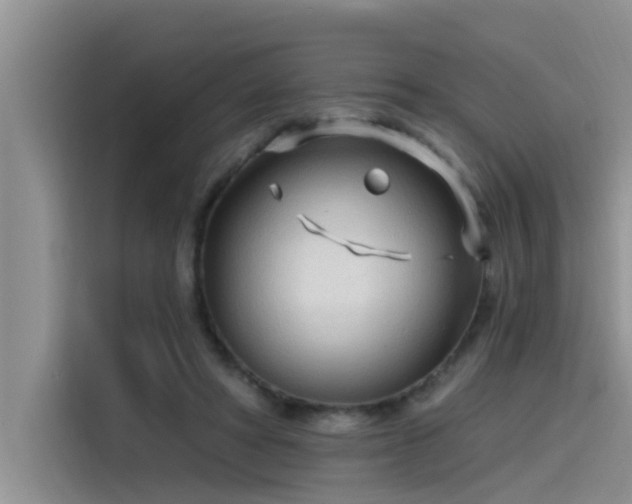 X0000115520402200911131449