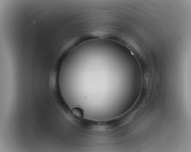 X0000115520404200911131449