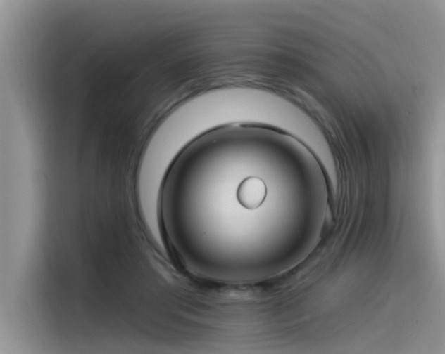 X0000115520405200911131449