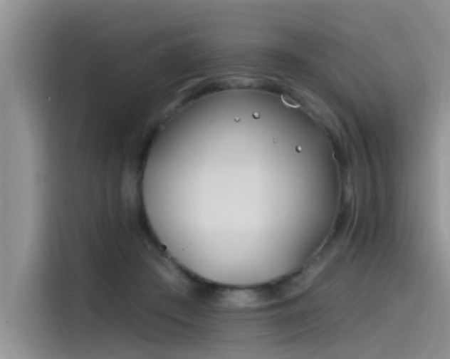 X0000115520409200911131449