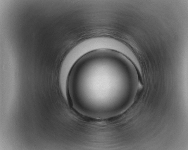 X0000115520411200911131449