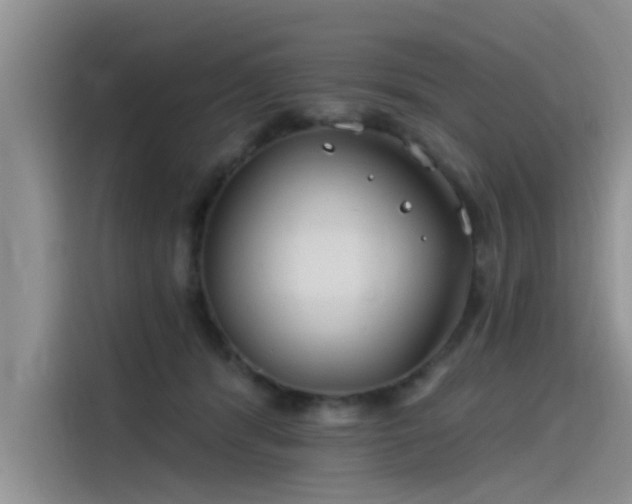 X0000115520416200911131449