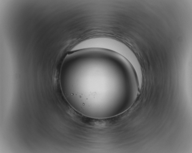 X0000115520423200911131449