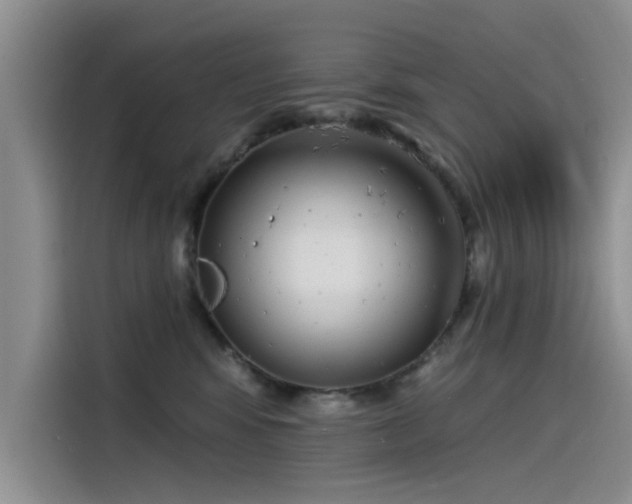 X0000115520424200911131449