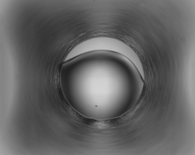 X0000115520425200911131449