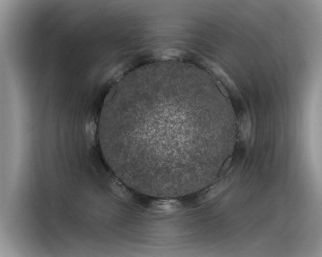 X0000115520427200911131449