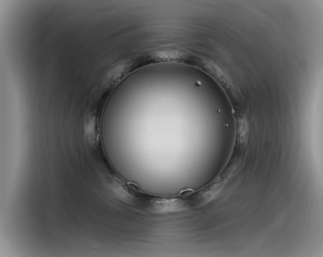 X0000115520428200911131449