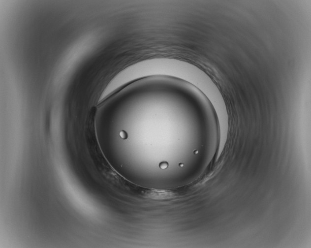 X0000115520429200911131449