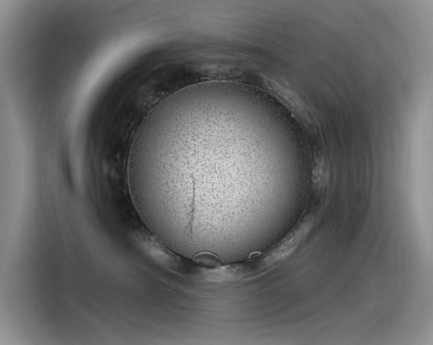 X0000115520430200911131449